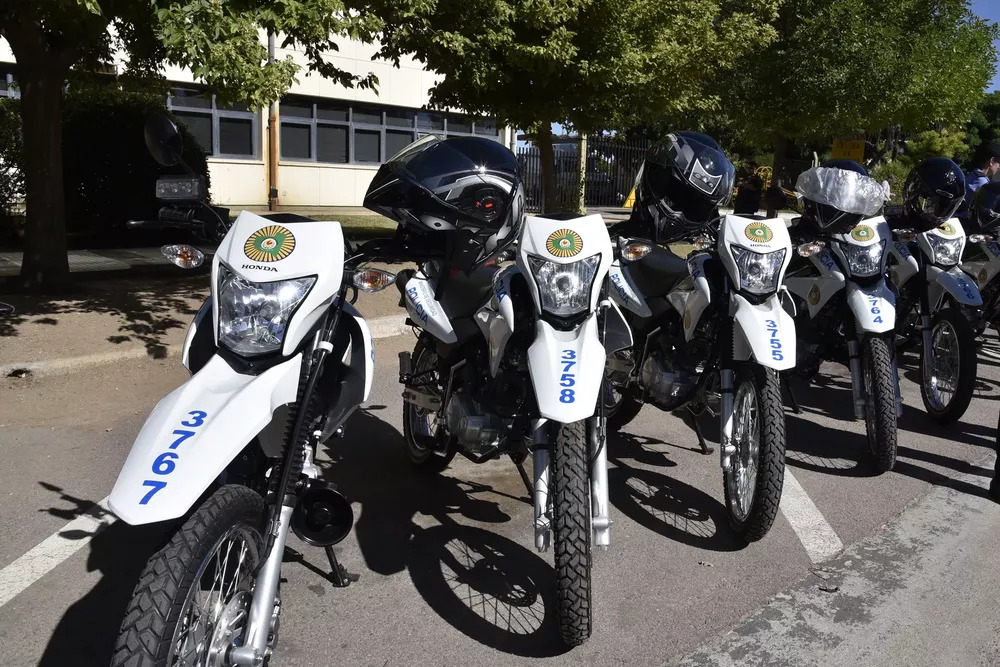 2387583__dsc8737-copia