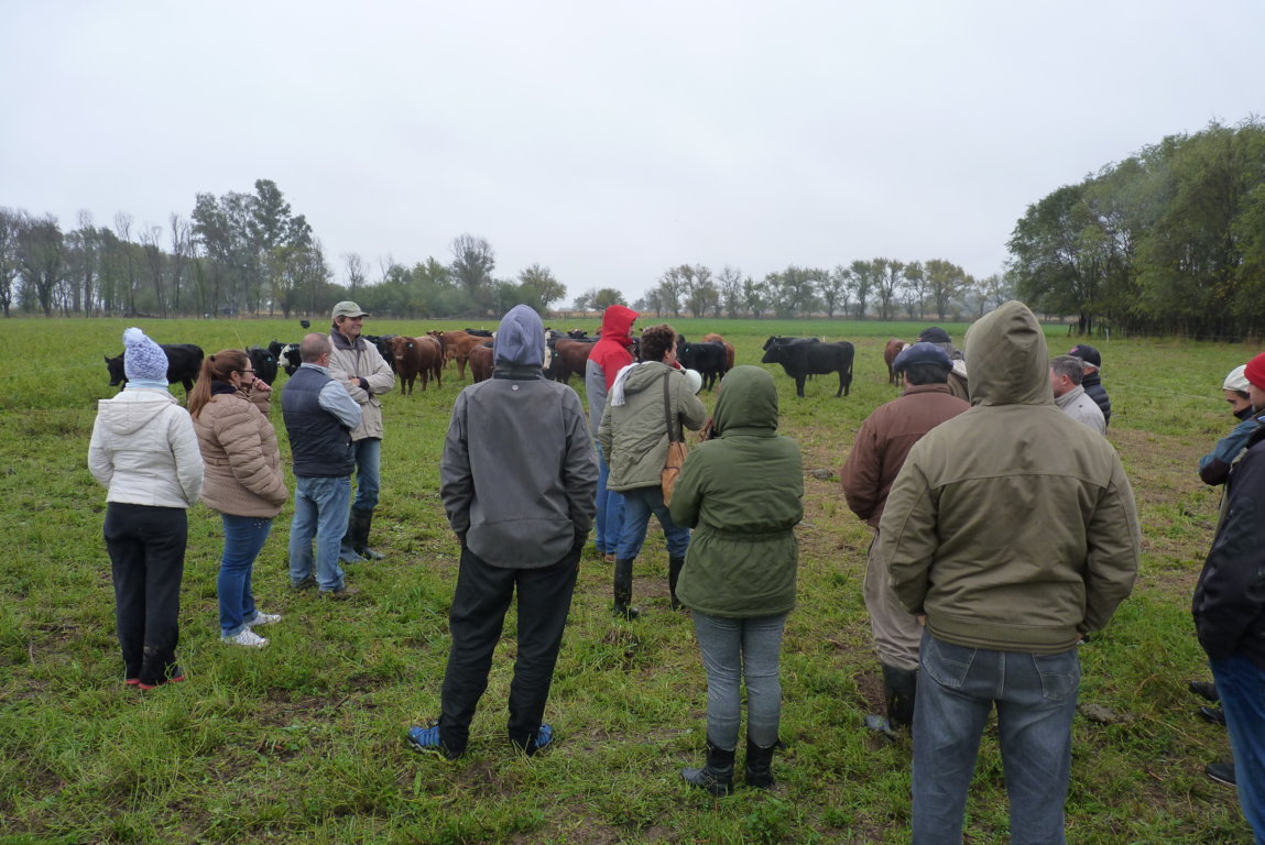 P1370475 (FILEminimizer)