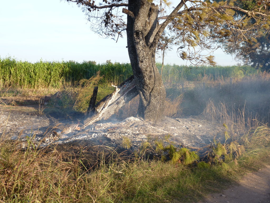 P1360684 (FILEminimizer)