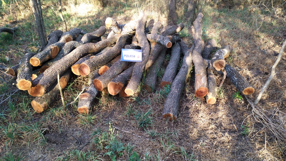 857b6e64-1eab-4279-91b3-27be4bc73e73