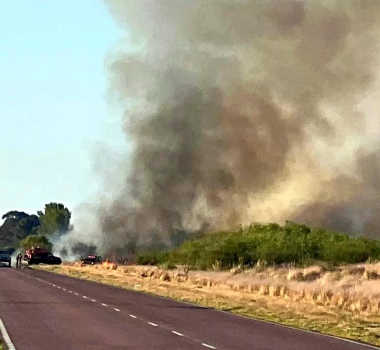 308574447_5798331483511809_6147885264308942355_n