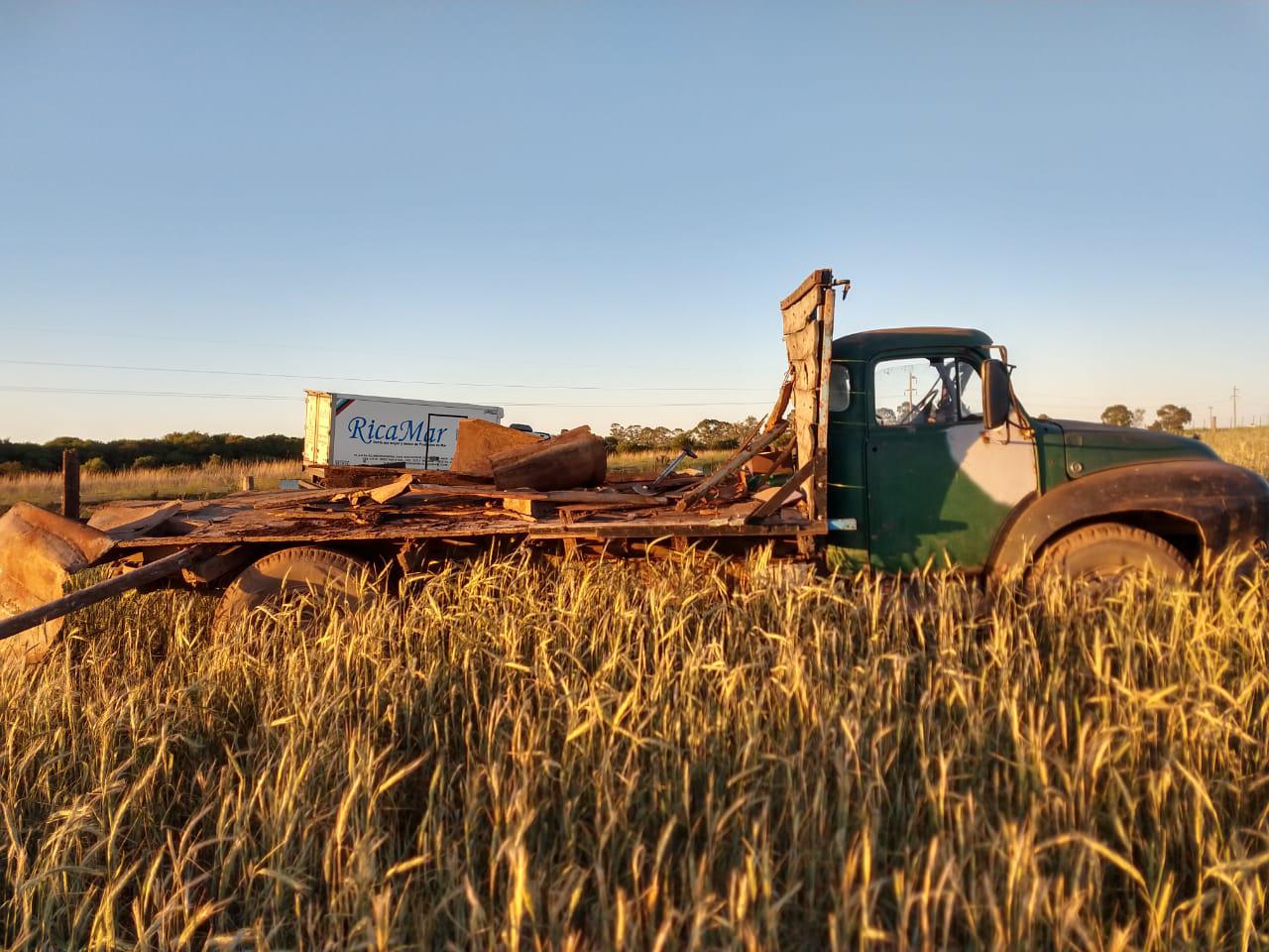 3b2d7b7e-2e1c-4332-953c-9537f05feec3