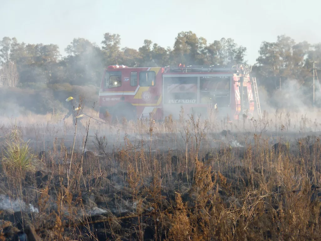 incendio caldenia 3 (FILEminimizer)