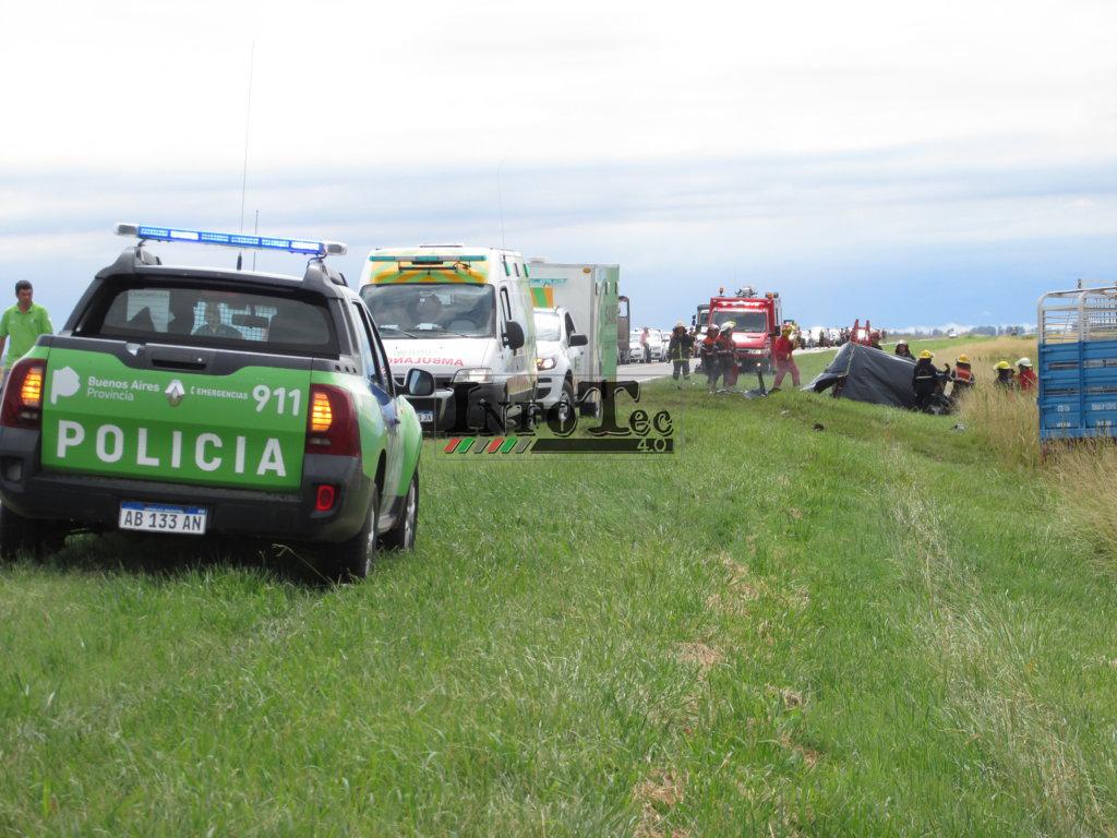 IMG_2334 (FILEminimizer)