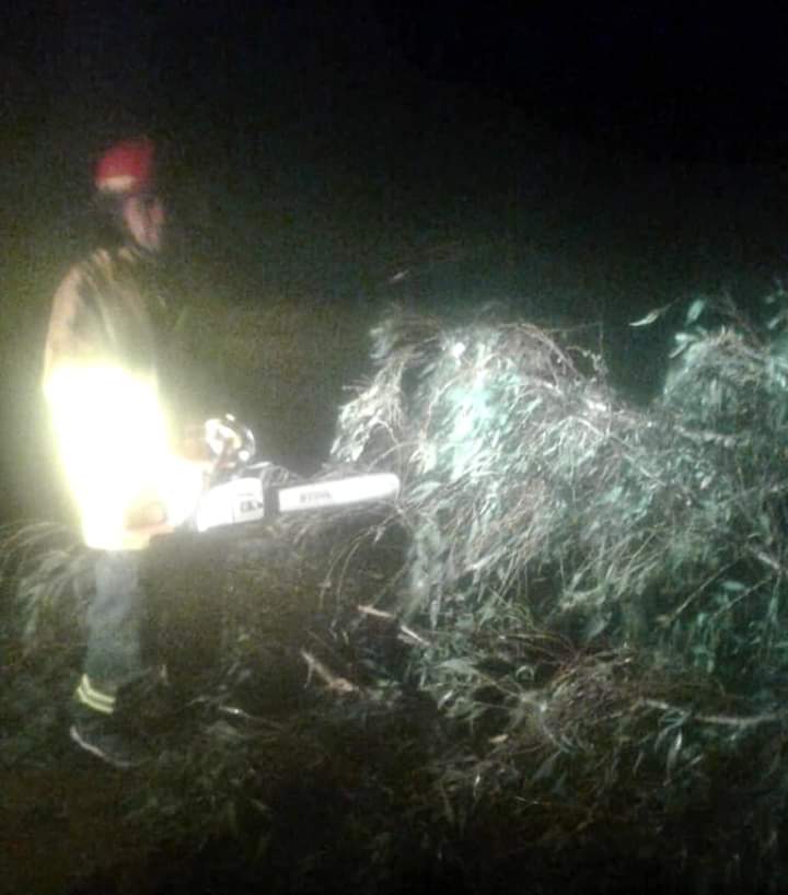 FB_IMG_1545934599095