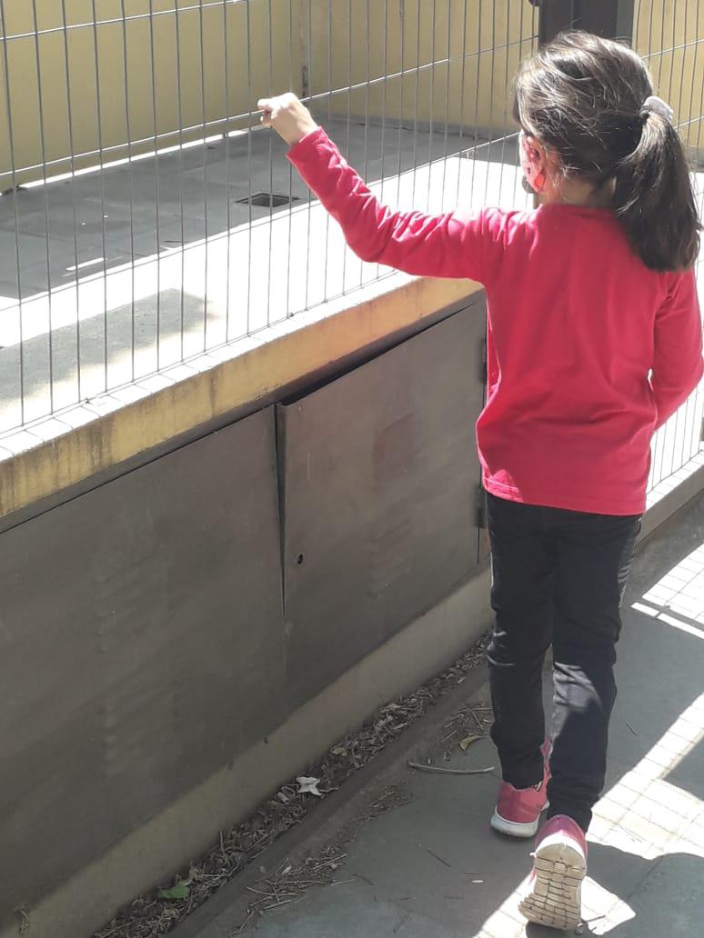 30426f0a-8958-4953-8b47-eb3e03e45729