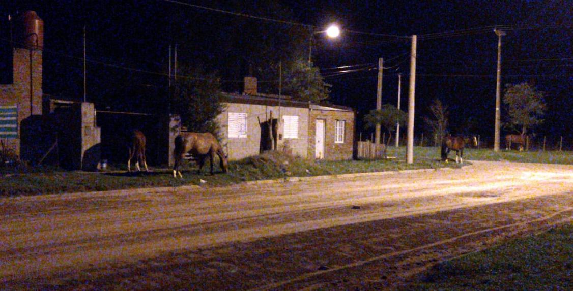 f306b3a2-9ac6-4c93-b4d2-4346fce2e45b