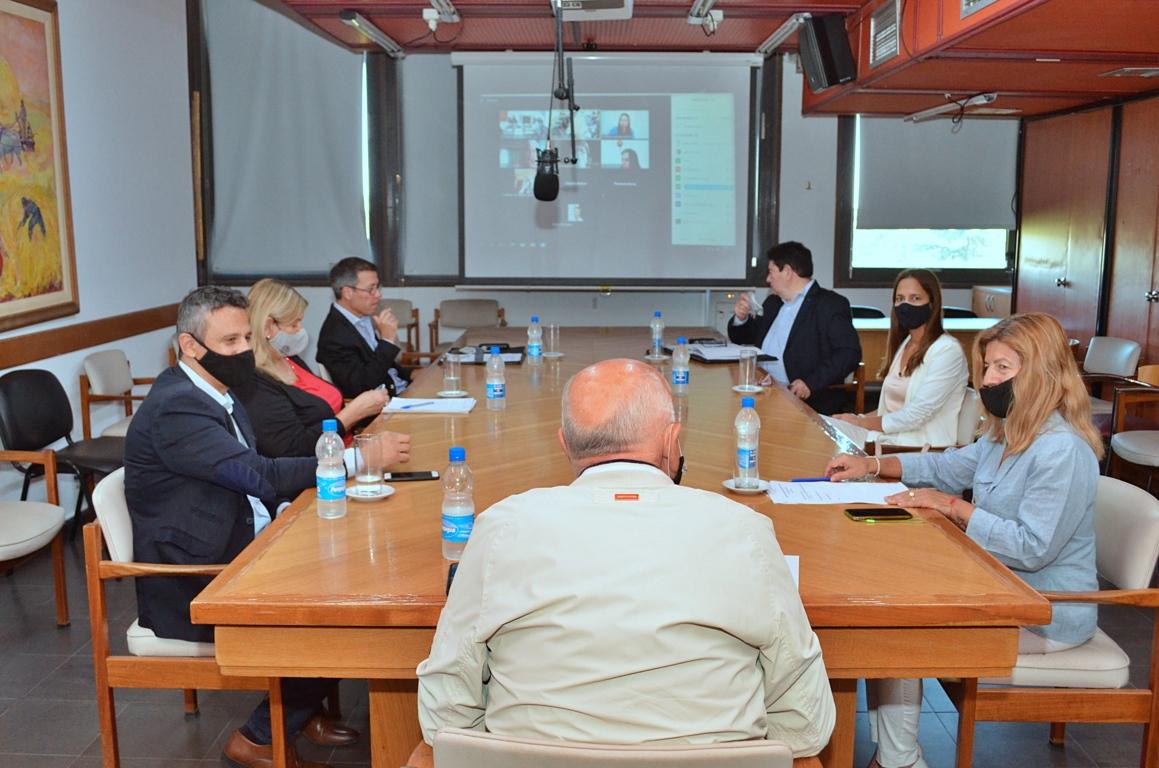 DSC_0540 (FILEminimizer)