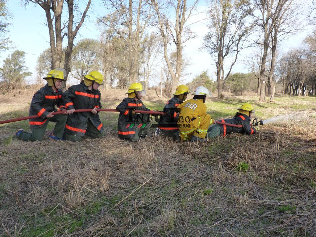 P1210603 (FILEminimizer)