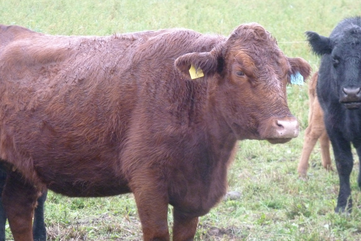 P1370479 (FILEminimizer)