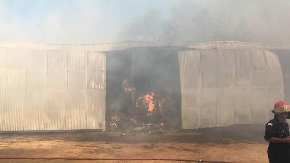 269233517_4576606499102025_6366300519136255144_n