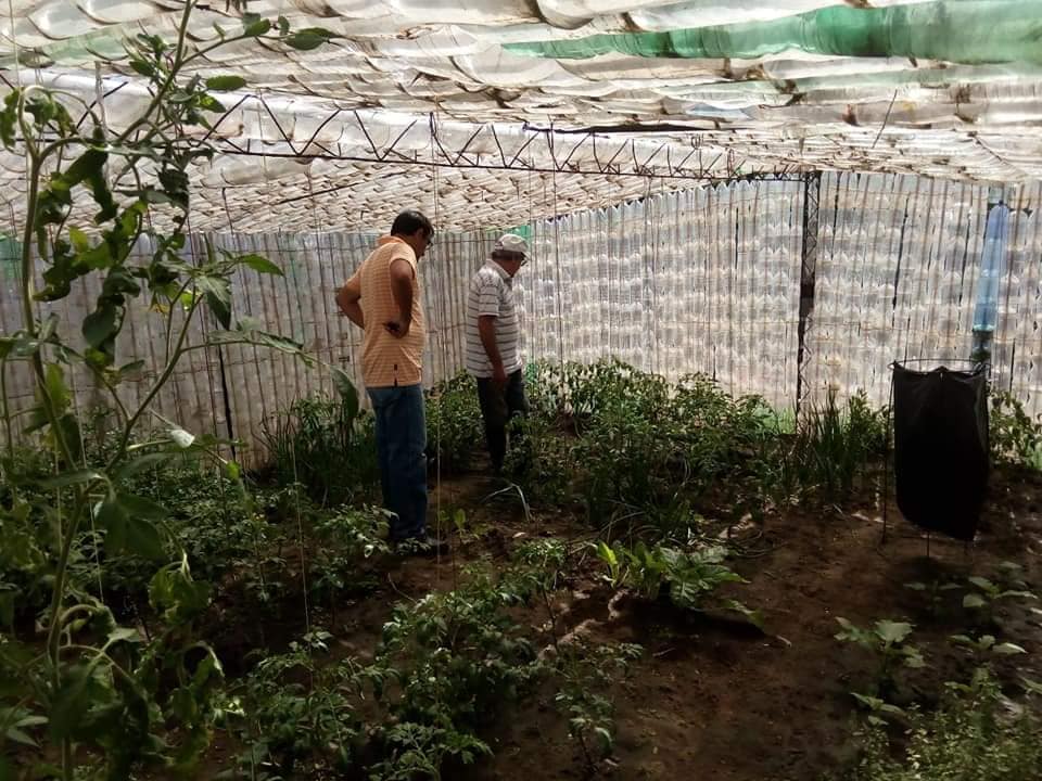 PRODUCTORES AGRICULTURA FAMILIAR 3