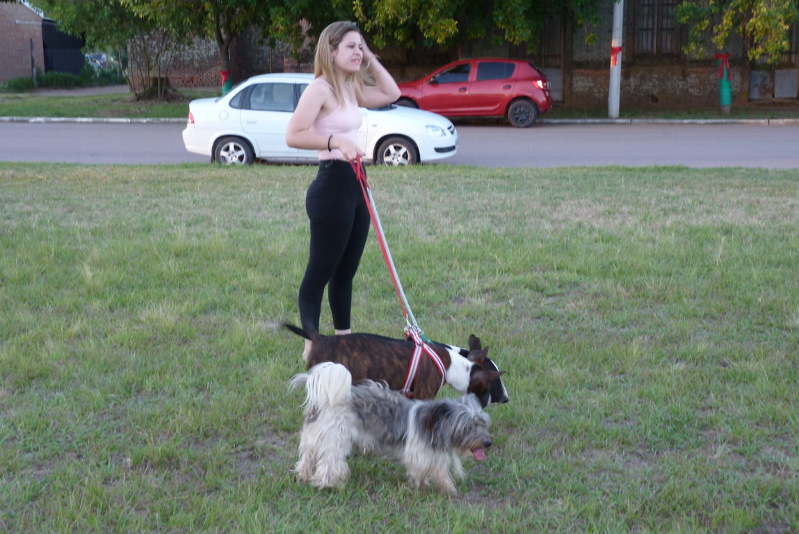 P1450830 (FILEminimizer)