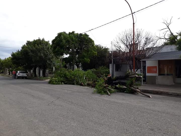 FB_IMG_1545934591333