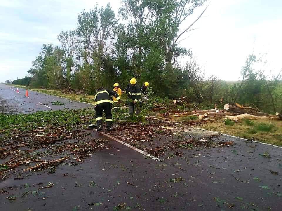 FB_IMG_1608904617356