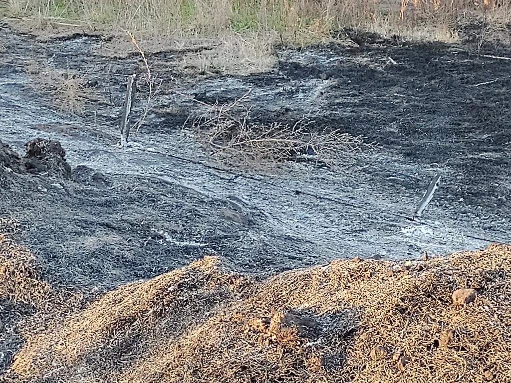 IMG_20210802_180724017 (FILEminimizer)