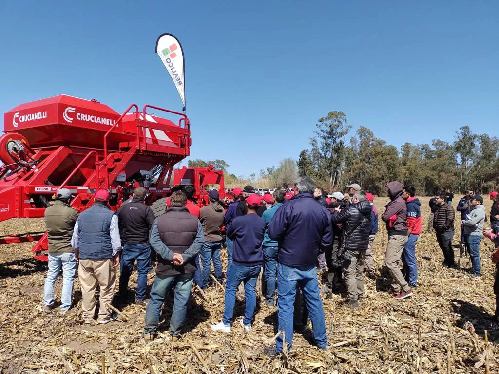 crucianelli 28 (FILEminimizer)