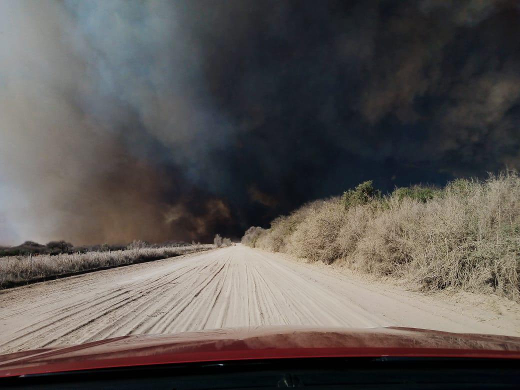 c5ce5ca5-e60f-481e-ad8e-f13bc912ce85