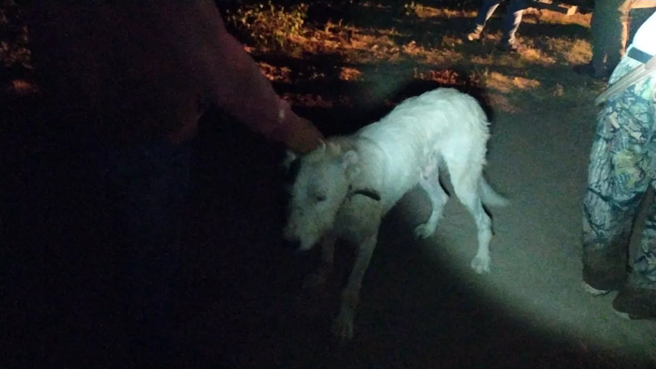 a3da9330-535e-40e3-bca9-2d519c3aa38e