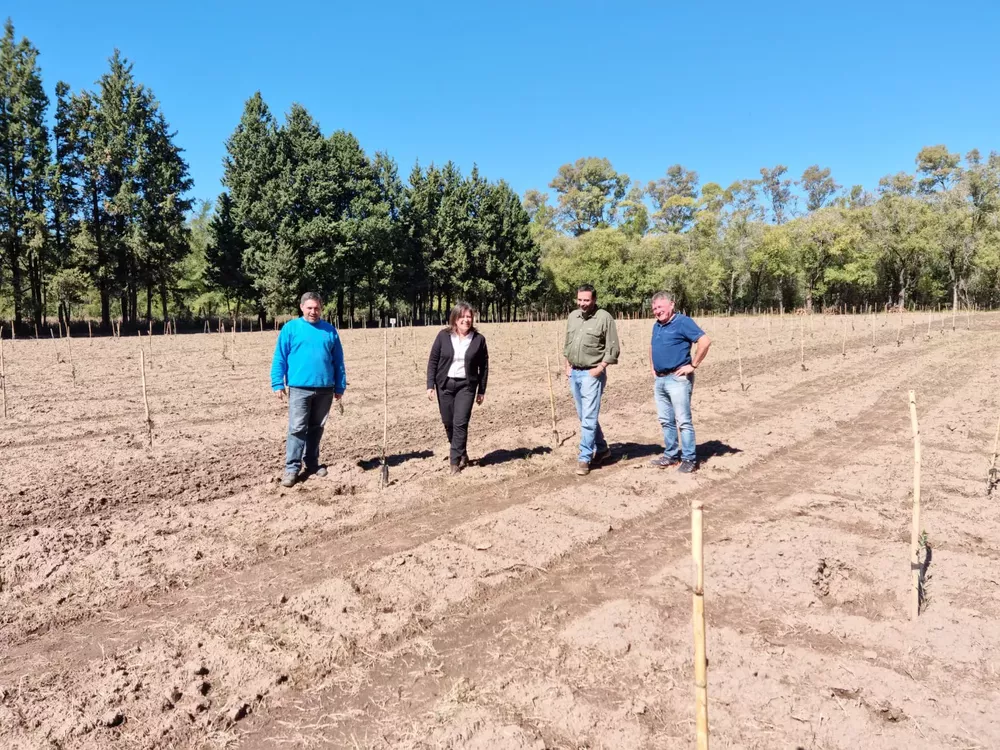 402494_whatsapp-image-2022-04-13-at-17.48.37 (1)