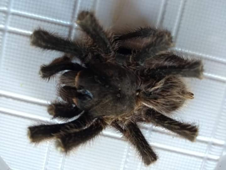 FB_IMG_1576935342777