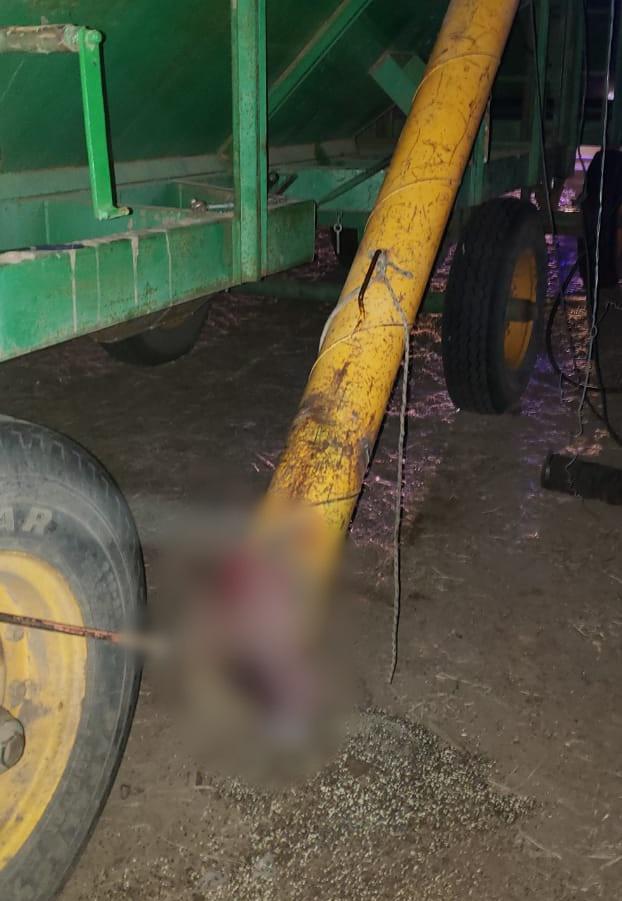 be915ae6-3612-4bb4-998a-221e059b6614