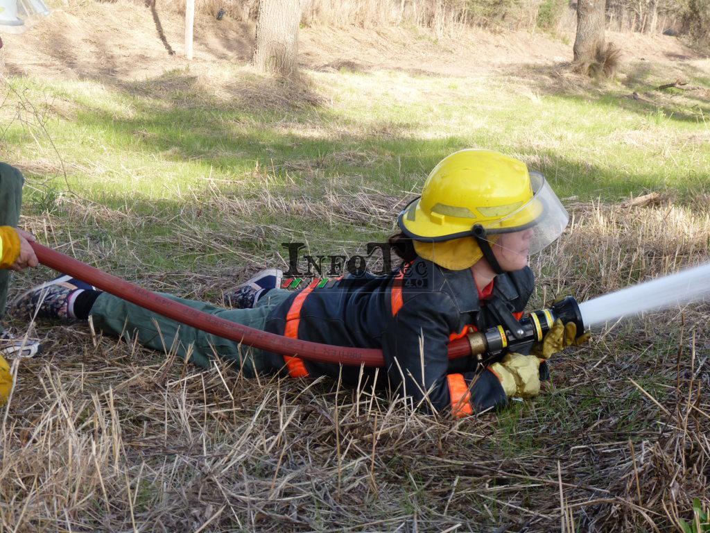 P1210602 (FILEminimizer)