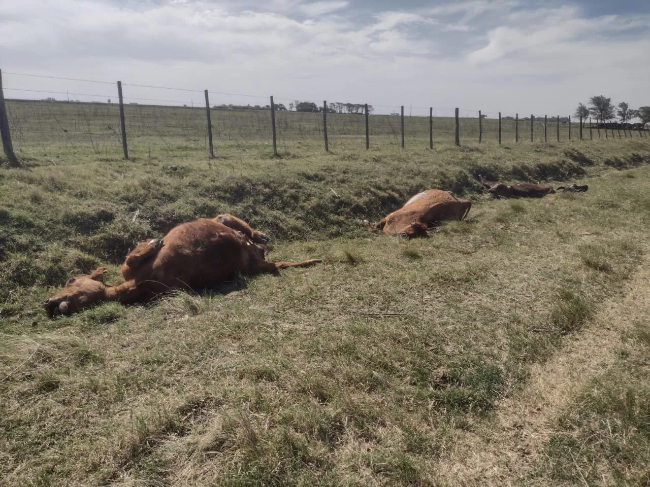 1ff86df6-ffc5-4b69-9879-ecea132cc58a