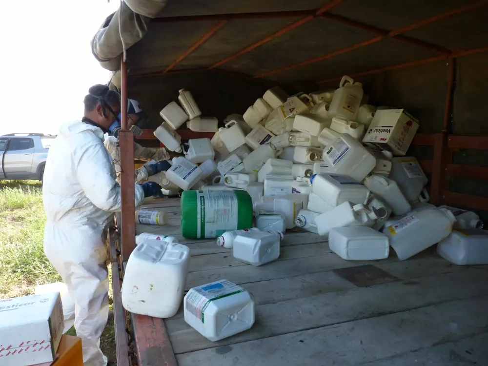 campo limpio 6 (FILEminimizer)