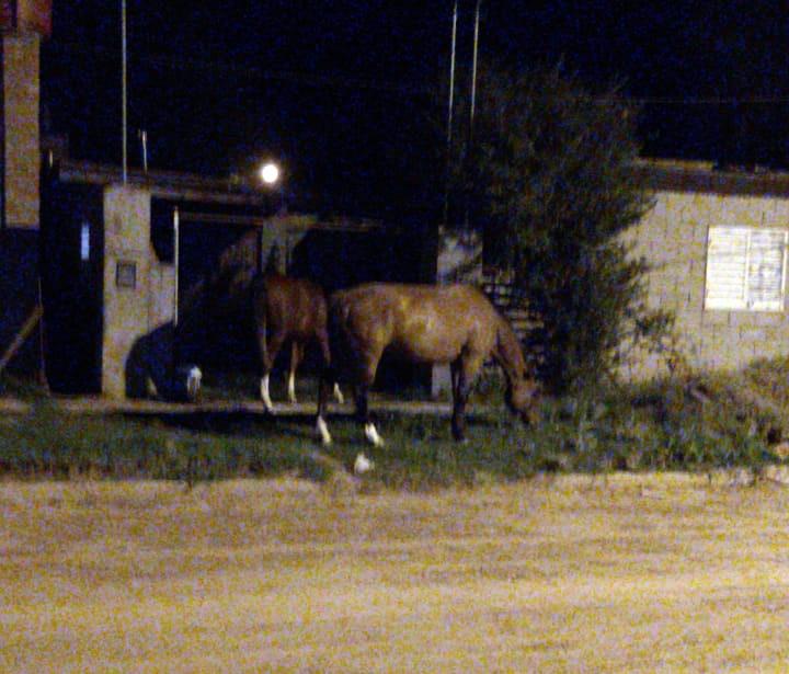 eac17b16-c294-4874-be3c-5fc4d994d9bf