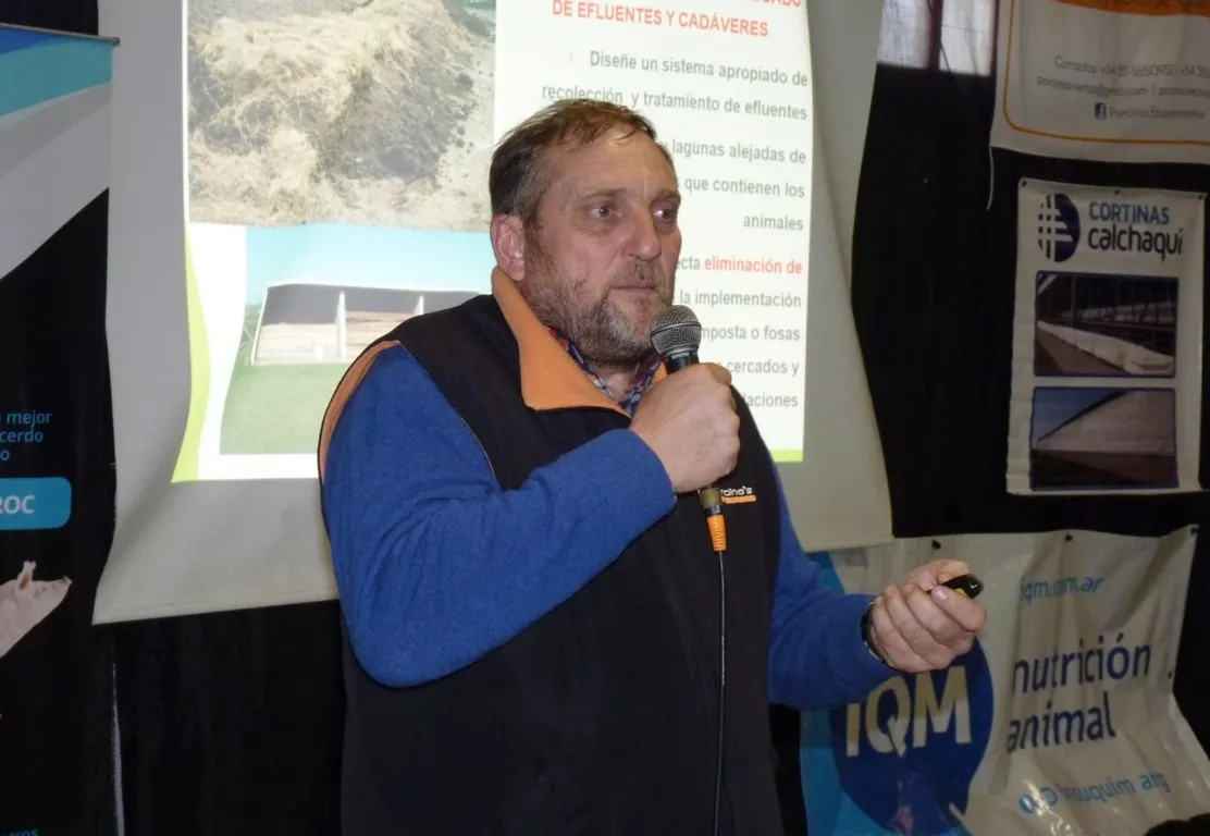 porcinos 2 (FILEminimizer)