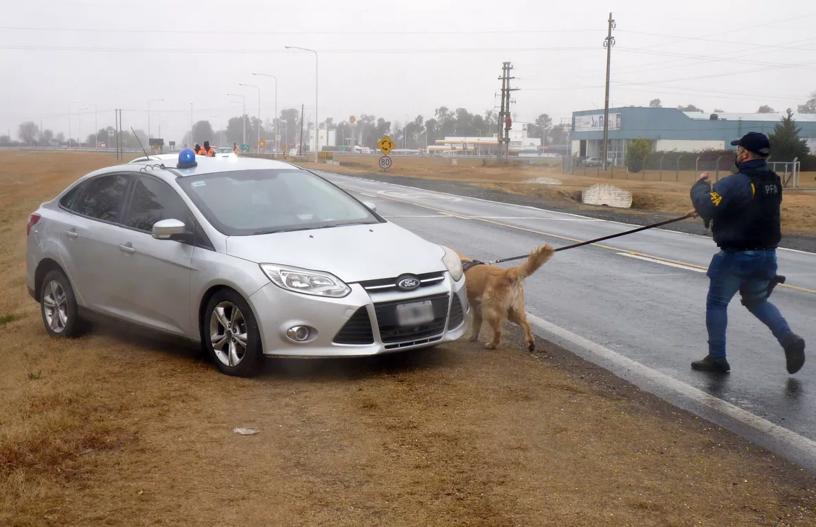 federal 6 (FILEminimizer)