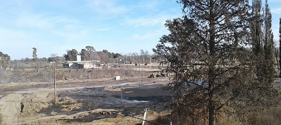 NATATORIO RECUPERACION 10