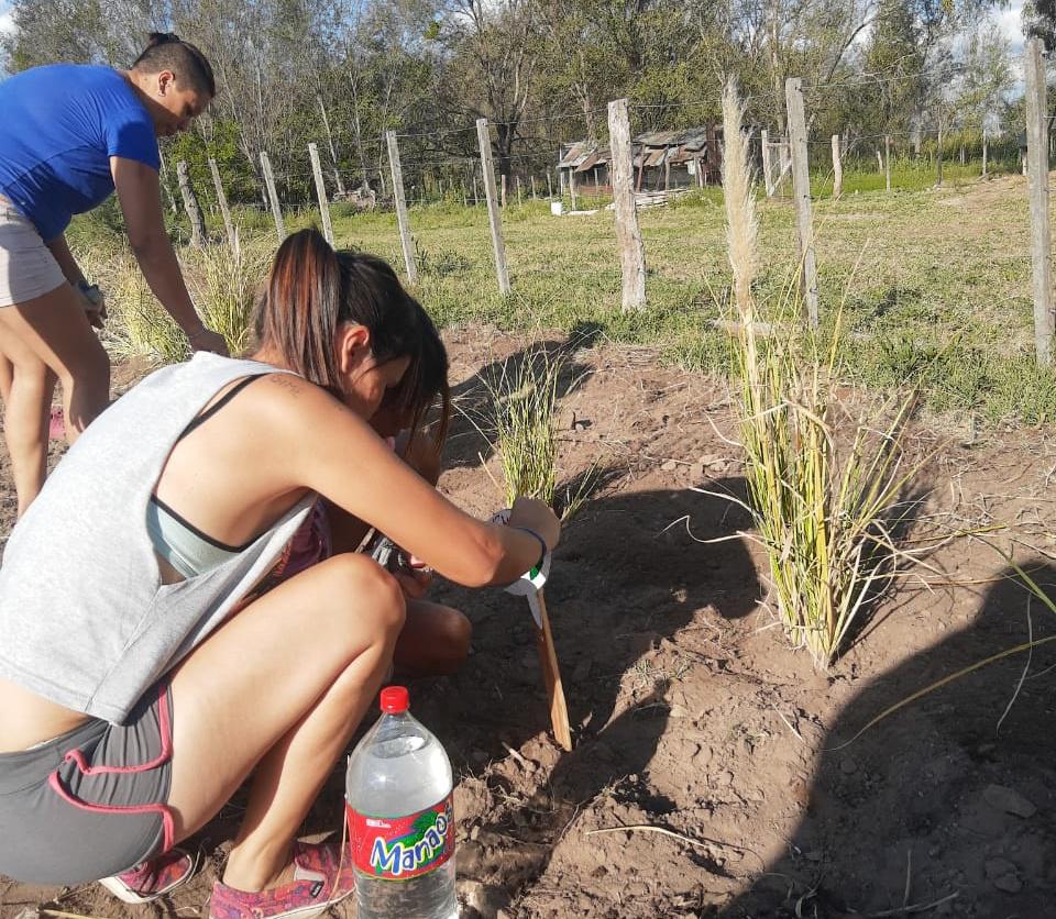 3a02a837-ed60-4b4e-8178-dce626d11dc8