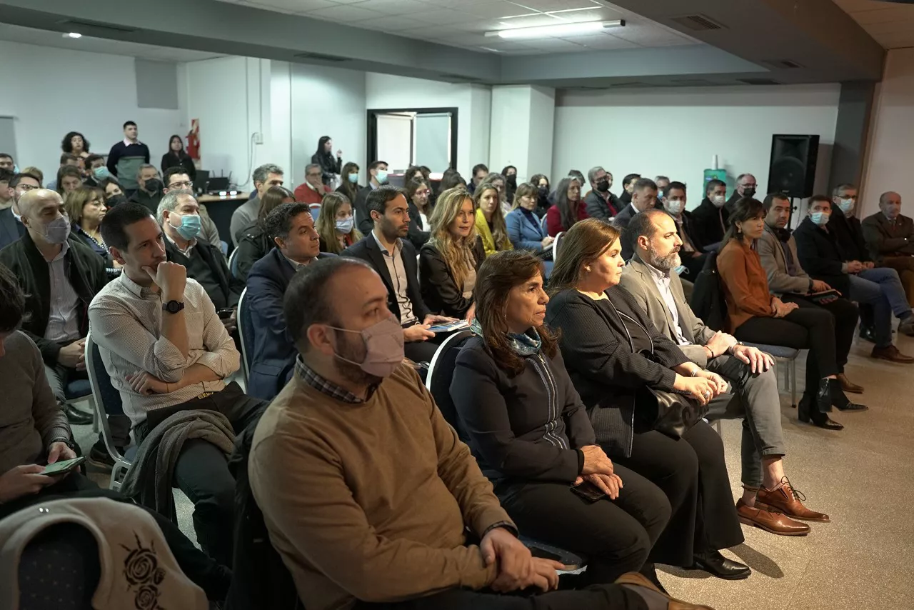 295883_apn-galeria-9