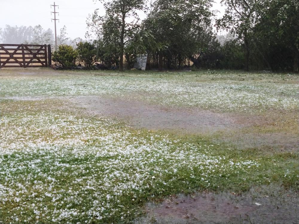 1c0c28e4-71e3-479a-b1ce-1c9d9e46d5c6