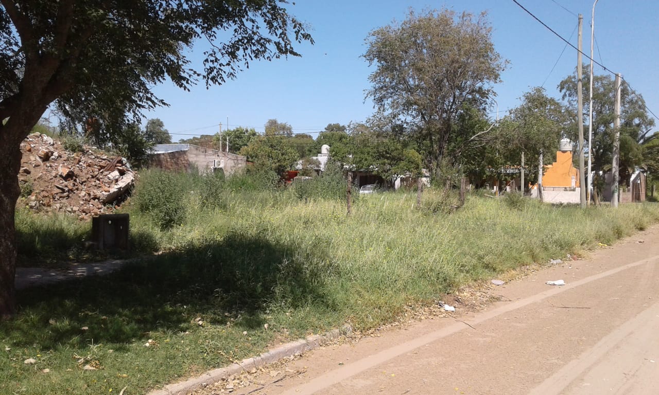 f84cf6c8-4982-4077-a8c9-f229982ca886