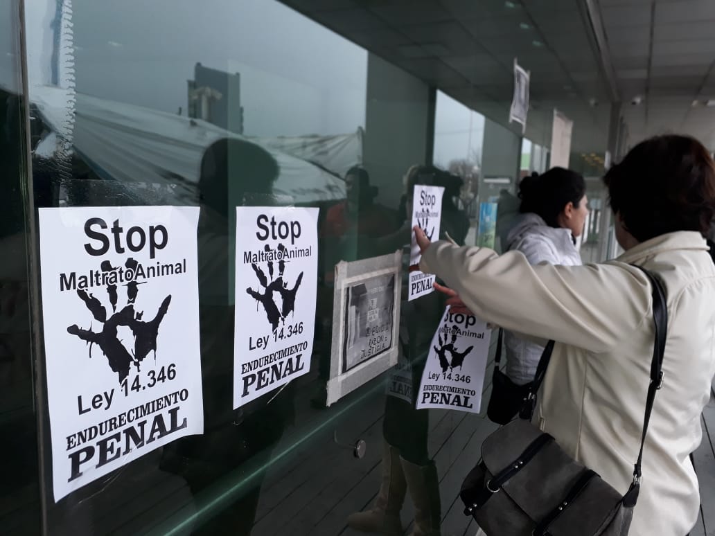 protestapormaltratoanimal