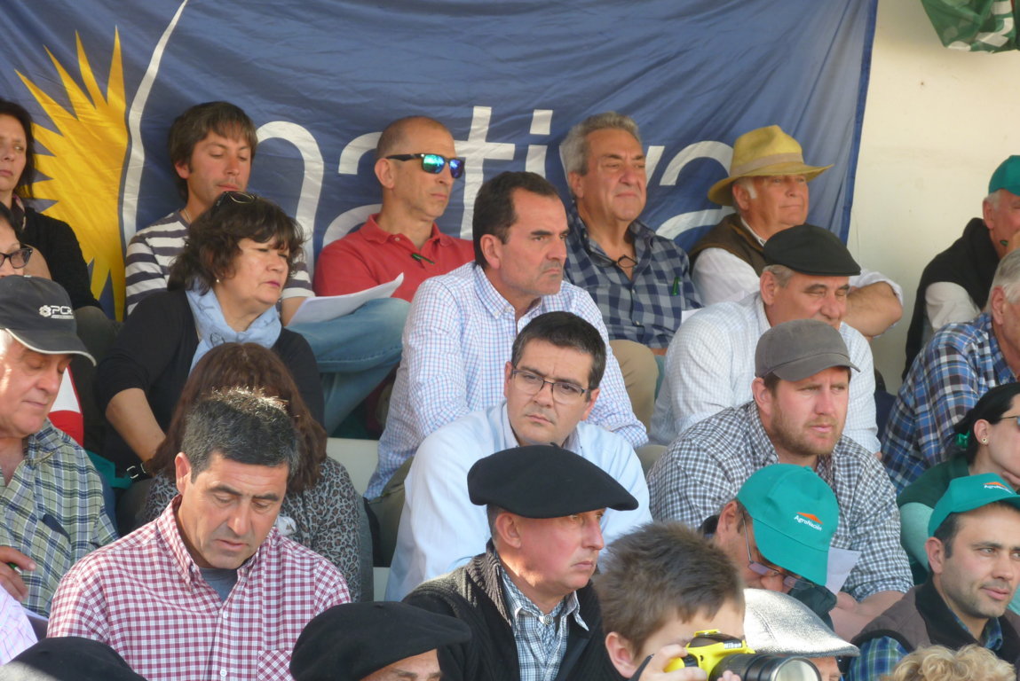 P1410880 (FILEminimizer)