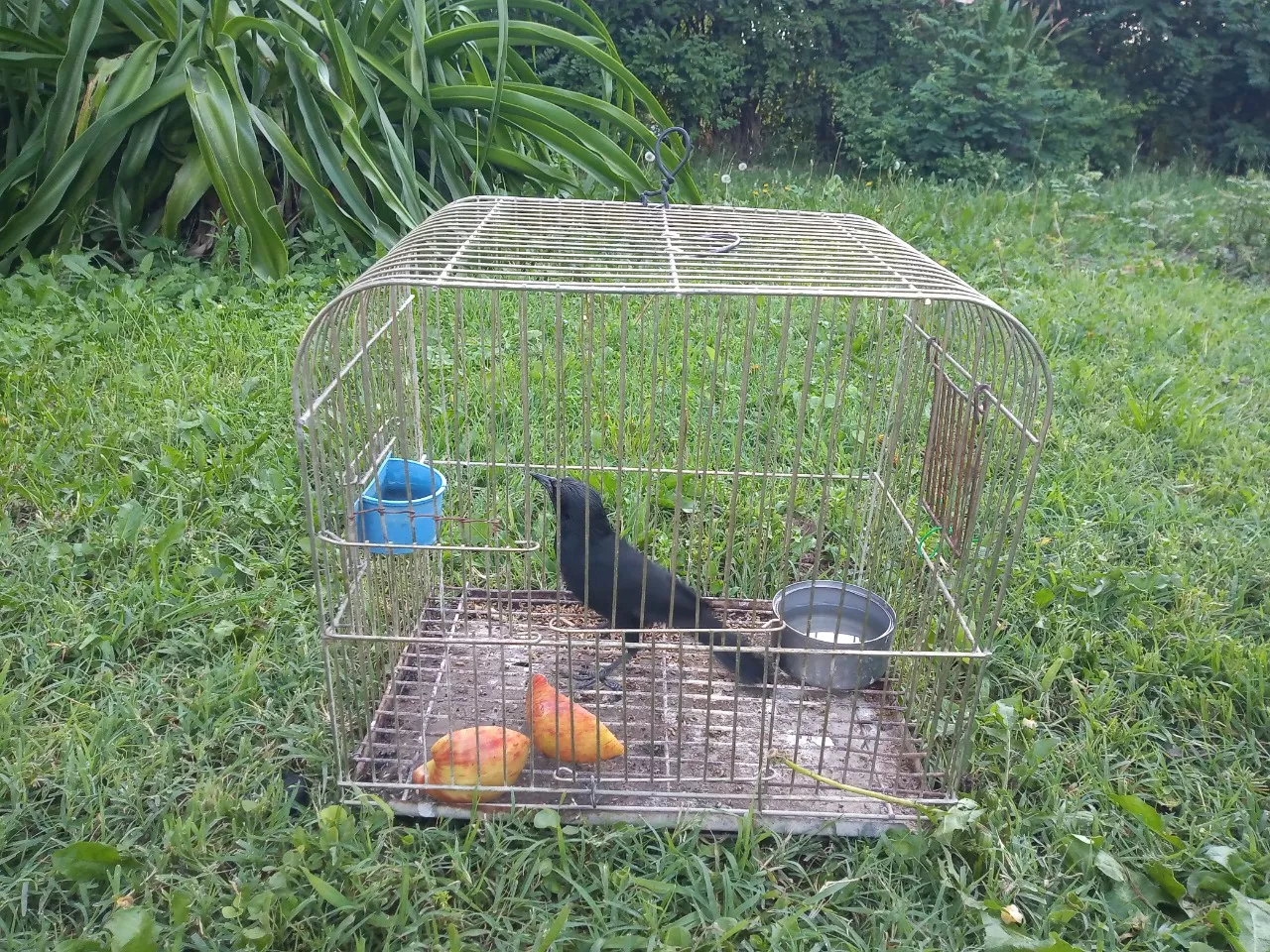 653046_whatsapp-image-2021-12-16-at-12.31.31