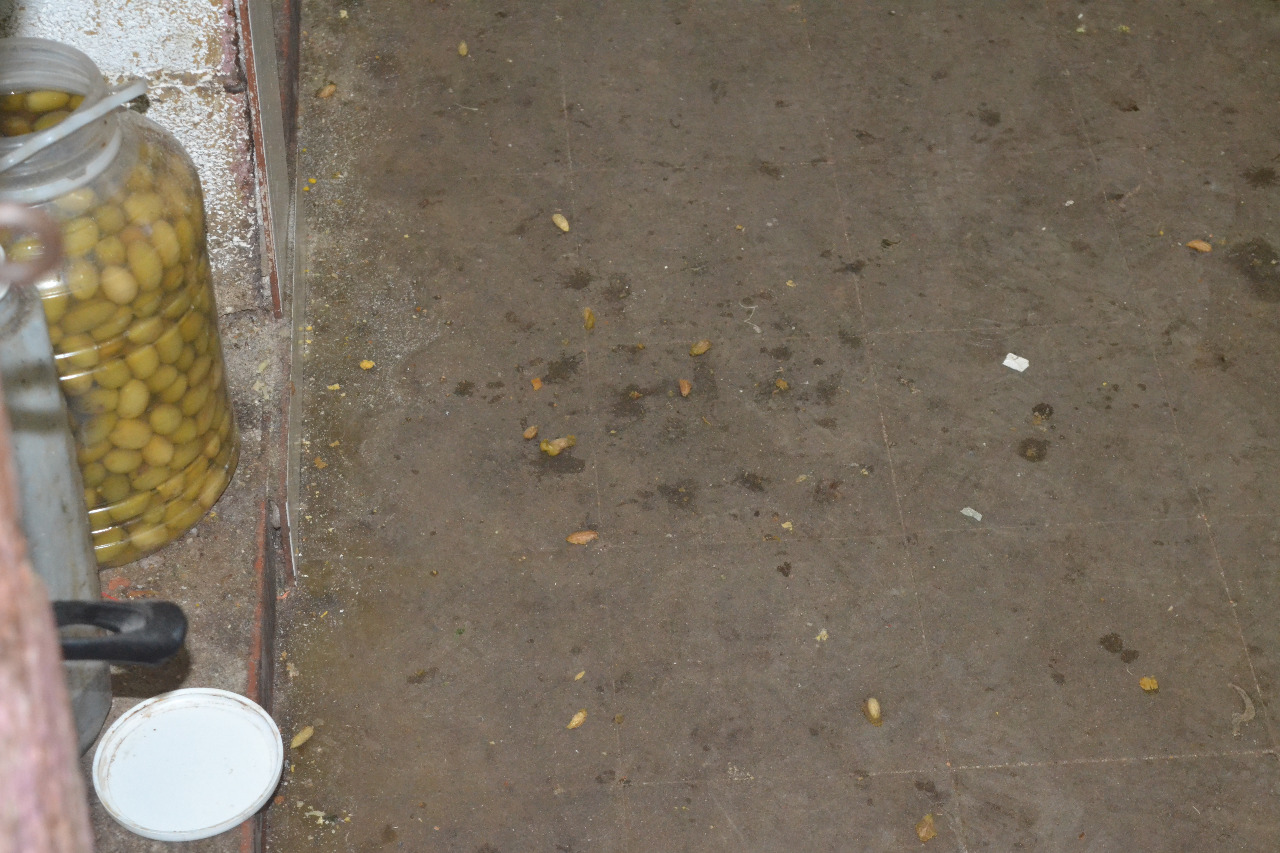 6c0a5715-e879-4228-88c1-29120464d943