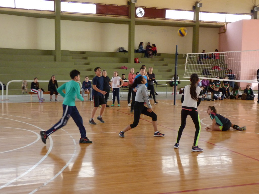 P1380045 (FILEminimizer)