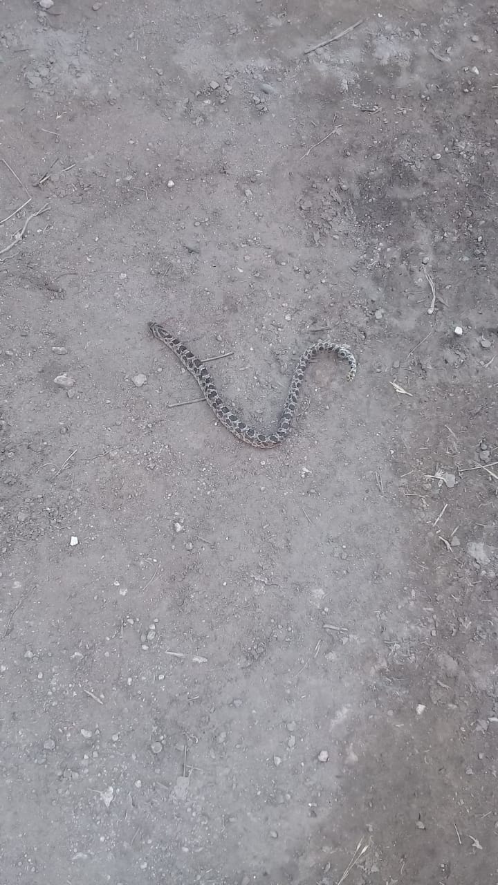 27c24838-9037-48d3-b2db-052f669ac8da