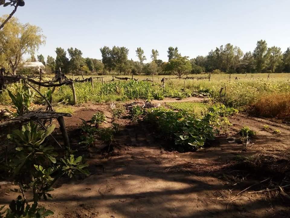 PRODUCTORES AGRICULTURA FAMILIAR 5