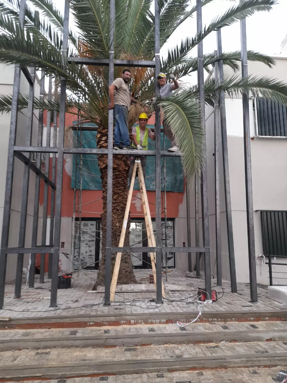 dfcb9b1b-aa1c-417b-a506-b2743c2962ad