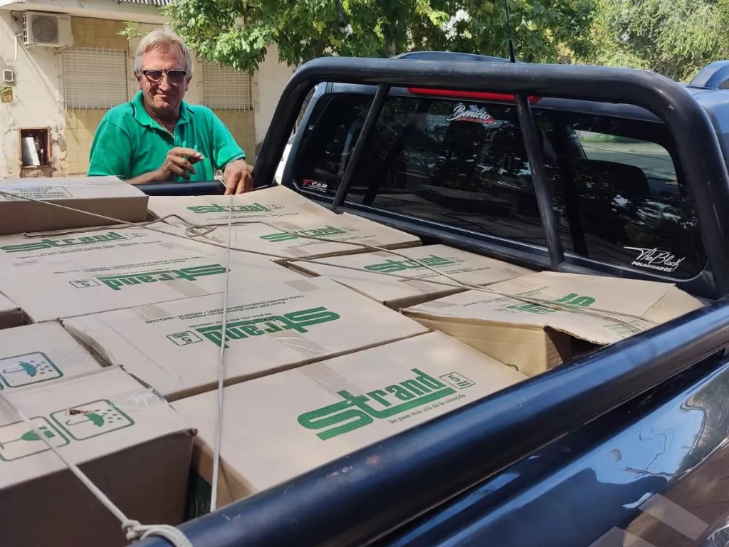 Bernasconi luminarias