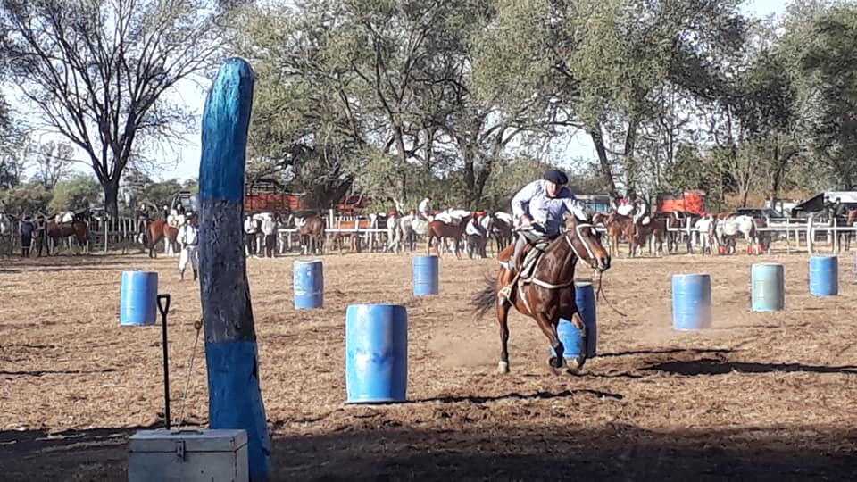 60937960_2464002540278070_8369309827175809024_n