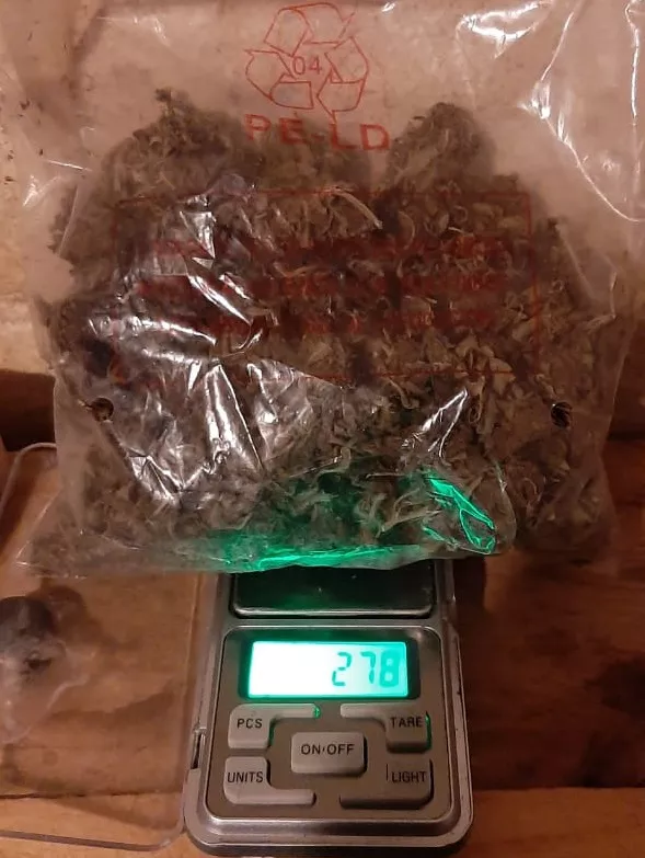 138118_whatsapp-image-2022-05-12-at-9.32.02-am--1-