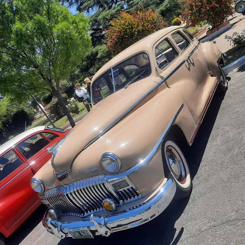 312994057_5922904404409419_3990842704746486905_n