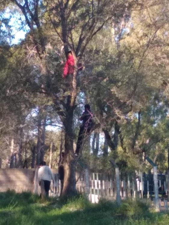 IMG_20210425_155302807